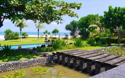 WakaGangga Tabanan || The Seal Pup