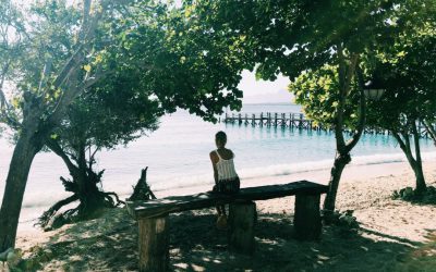 NusaBay Menjangan | Los Mundos De Osiris