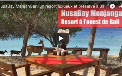 Où trouver un cottage de luxe à Bali, perdu au milieu de la jungle préservée et de ses animaux sauvages, et en bord de mer ?