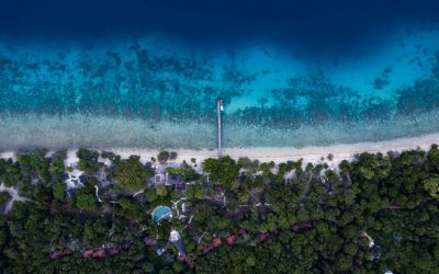 Glamping in West Bali National Park – NusaBay Menjangan by WHM.